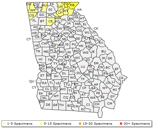 The range of Rhododendron catawbiense